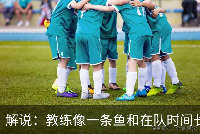 解说：教练像一条鱼&在队时间长了就会发臭 杜锋话语出现效应递减